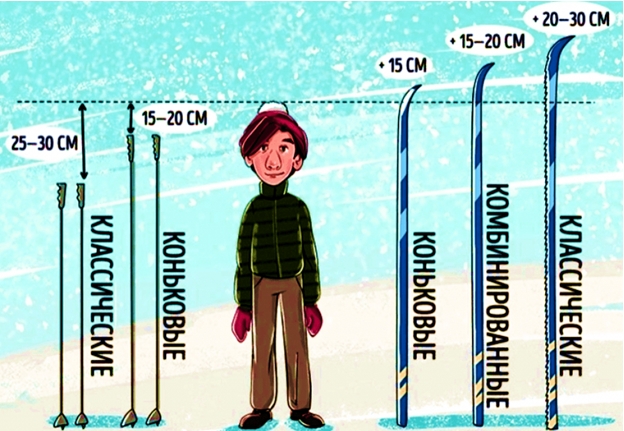 Как выбрать лыжи по росту и длине: таблица размеров, советы по выбору