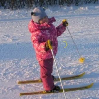Как выбрать лыжи по росту и длине: таблица размеров, советы по выбору