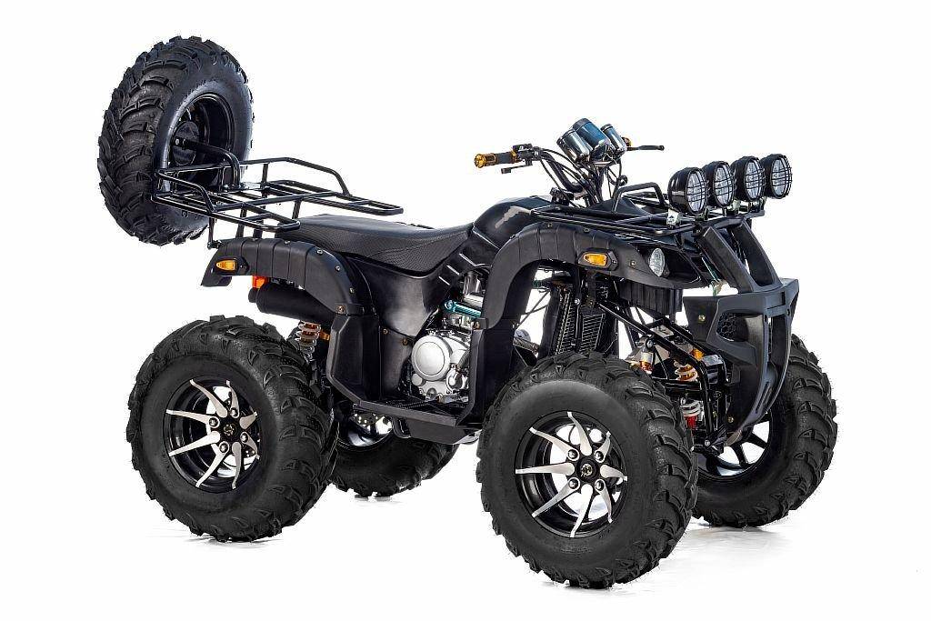 Grizzly 300cc