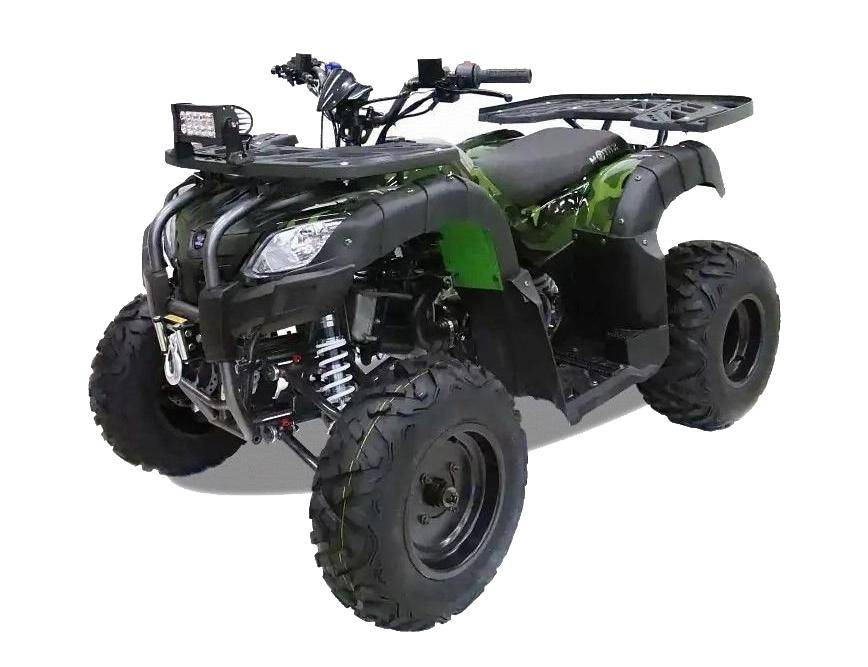 Motax ATV Grizlik 200
