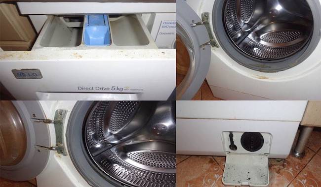 Как почистить стиральную машинку от накипи, плесени, грязи, запаха
