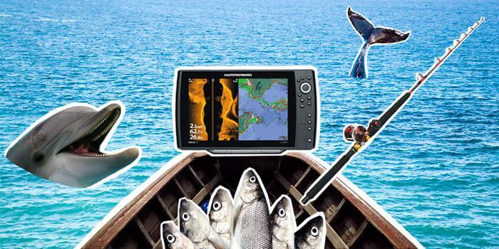 Какой эхолот выбрать для рыбалки: ТОП-25