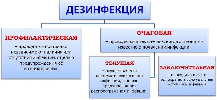 Что такое дезинсекция и как провести самостоятельно эффективную борьбу с насекомыми в своем доме