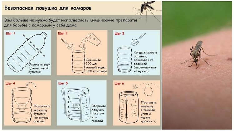 Как эффективно избавиться от комаров - современные методы для домоседов, дачников и туристов