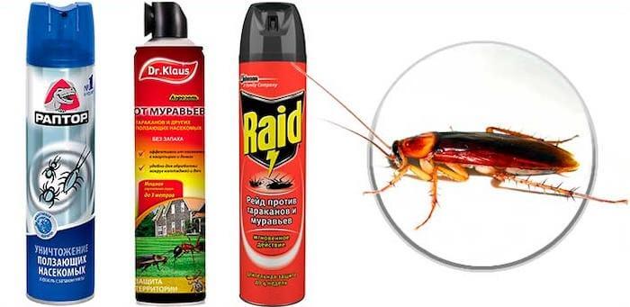 Лучшее средство от тараканов - как выбрать, обзор профессиональных и бытовых инсектицидов